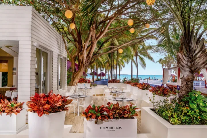 Restaurante The White Box, Oasis Tlc